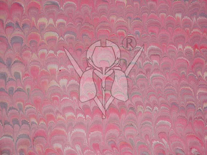 J2PNV - Image 3
